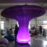 Mushroom 16