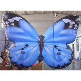 Butterfly 09