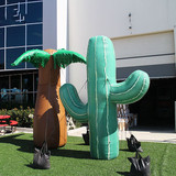 Cactus 07