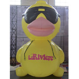 Duck 13
