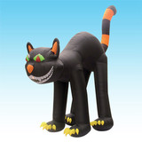 Cat 20