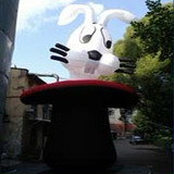 Rabbit 02