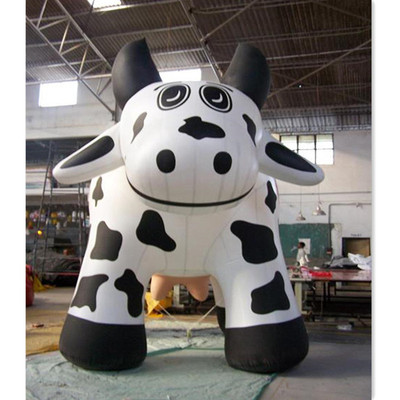 Cow 13