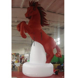 Horse 05
