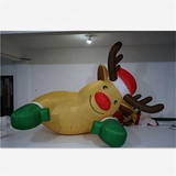 Deer 153