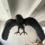 Crow 34
