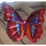 Butterfly 04