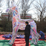 Horse 03