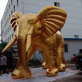Elephant 13