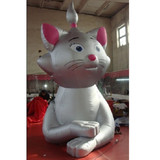Cat 13