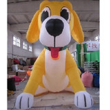 Dog 03