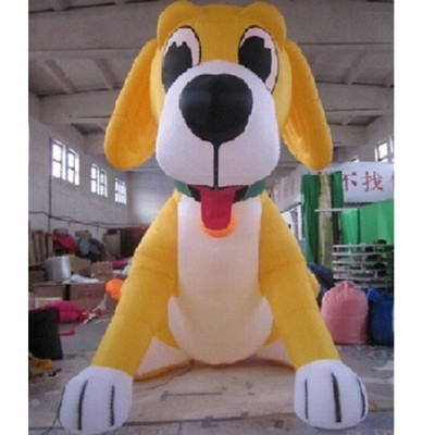 Dog 03
