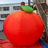 Apple 31