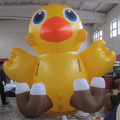 Duck 12