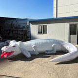 Crocodile Dog 41