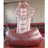Cobra 08