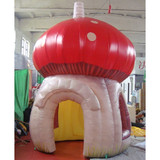 Mushroom 11