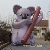 Koala 01