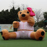 Bear 20