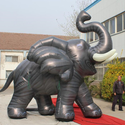 Elephant 07