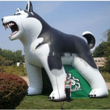 Wolf Dog Tunnel 13