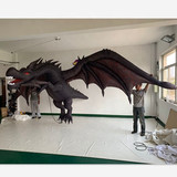Dragon 04