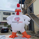 Rooster 02