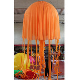 Jellyfish 17