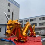 Dragon 08