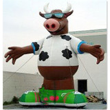 Cow 11