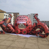 Octopus 173