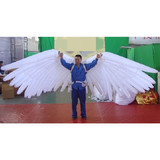 Wing 16