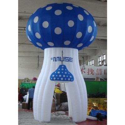 Mushroom 06