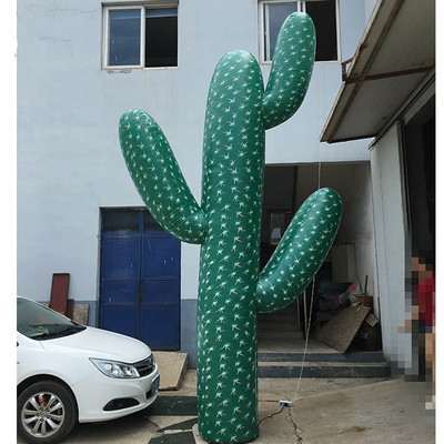 Cactus 06