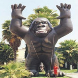 Gorilla 09