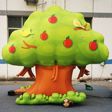 Apple Tree 53