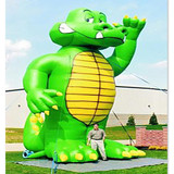 Crocodile 216