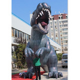 Dinosaur 09
