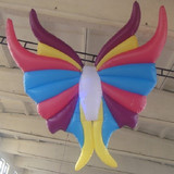 Butterfly 14