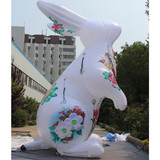 Rabbit 16