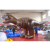 Dinosaur 24