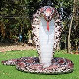 Cobra 02