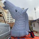 Horse 16