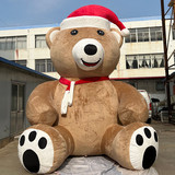Bear 17