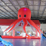 Hanging Octopus 219