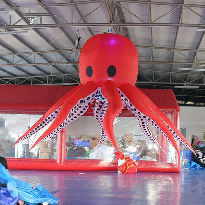 Hanging Octopus 219