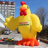 Rooster 08