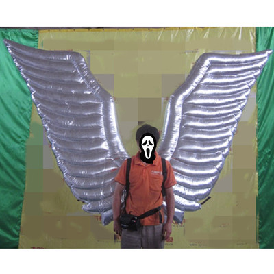 Wing 22