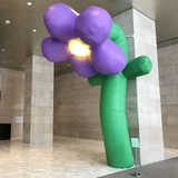 Ground Flower 10