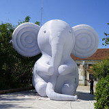 Elephant 24